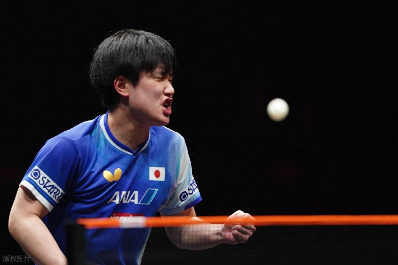 张本智和:我不是战胜不了中国队,我只是打不赢樊振东