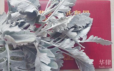 二手车过户都需要啥