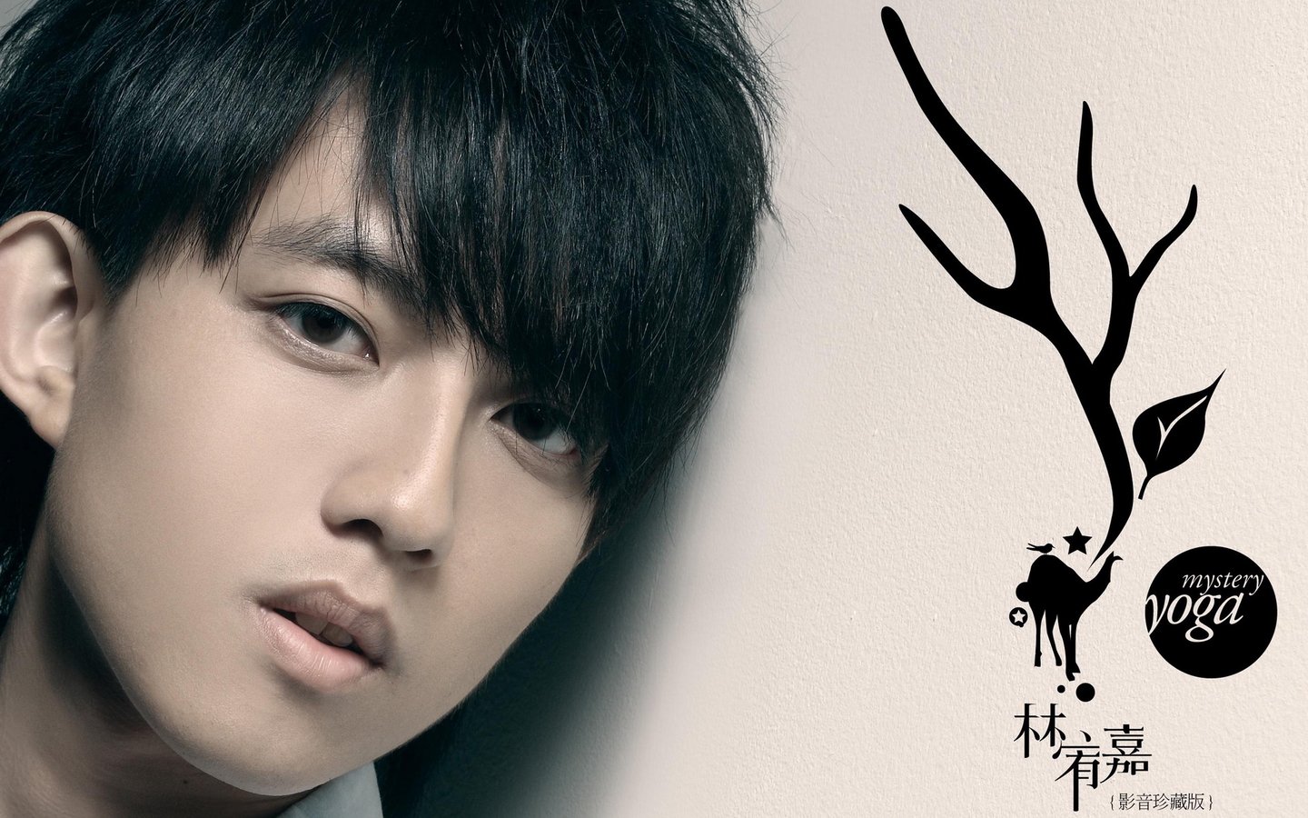 2026林宥嘉泉州演唱会什么时间开？在哪里可以买票？-有票网