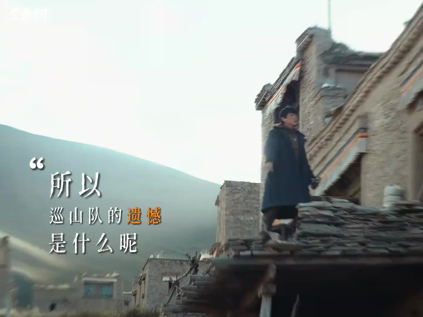 导演称杨紫与白菊神似，回应生命树节奏争议