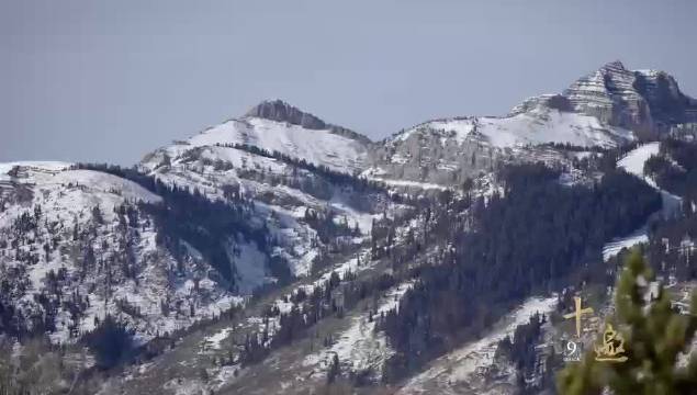 许知远对话金国威谈攀岩与自我探索