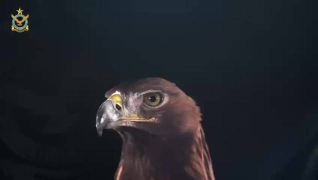 巴基斯坦空军金鹰演习验证人工智能作战技术