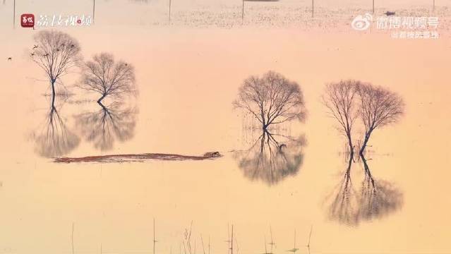 淮安陡湖湿地暮色如画，王源歌声伴云赏