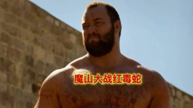 骑士之战，红毒蛇大战魔山