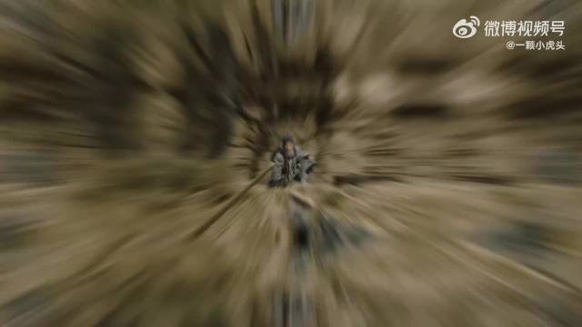 肖战精准诠释导演心中郭靖形象，侠之大者自在人心