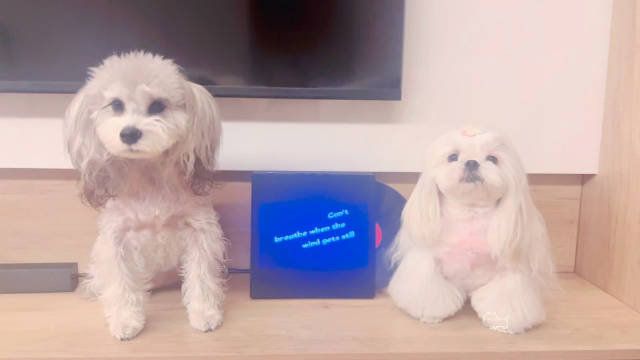 蔡徐坤新歌colder上线，小马哥等友情出镜