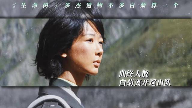 多杰遗物白菊承载信仰，生命树守护者双双离世