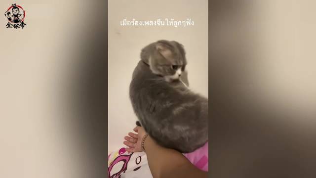 2026年1月中国在海外十大最火的相关内容（事件）