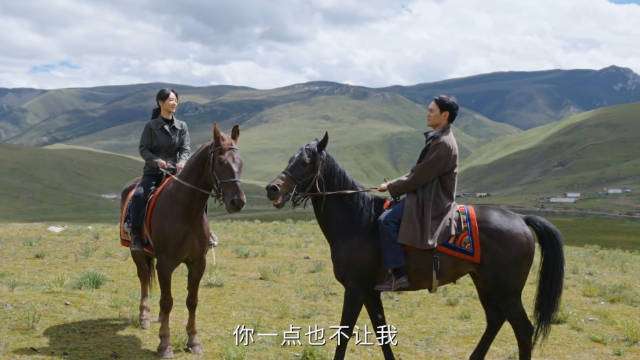 杨紫袁弘新剧上演审讯相亲双面戏