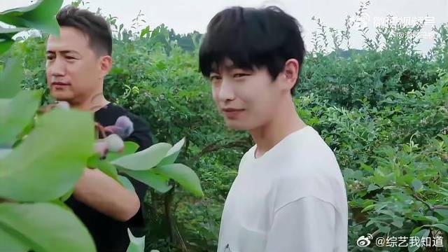 何炅彭昱畅被蓝莓酸成表情包 一家人共用一份好奇心