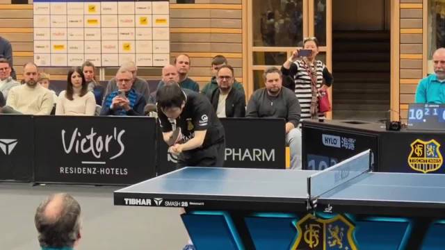 樊振东一单两分助队连胜