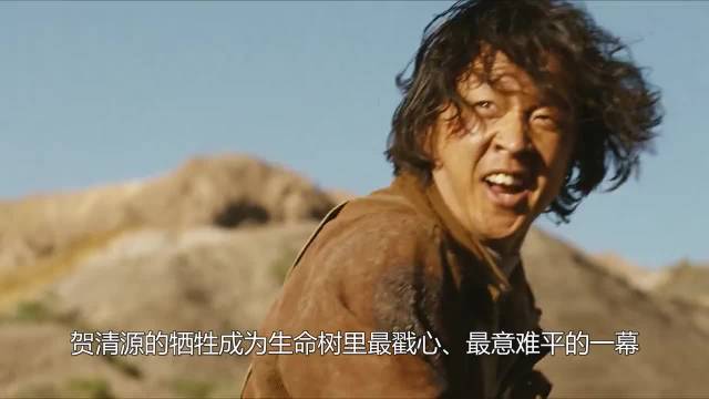 贺清源牺牲留未兑现承诺，旺姆苦等成生命树最戳心一幕