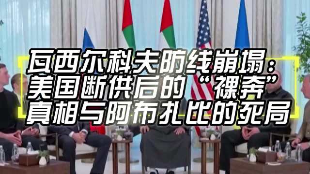 瓦西尔科夫防线崩塌：美国断供后的“裸奔”真相与阿布扎比的死局