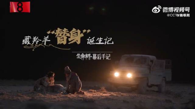 《生命树》揭秘3D打印结合手作还原藏羚羊猎杀场景