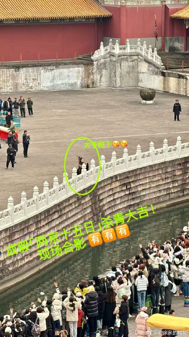 成毅《两京十五日》杀青现“万果朝拜”！卡车送奶茶跪地合影引爆全网