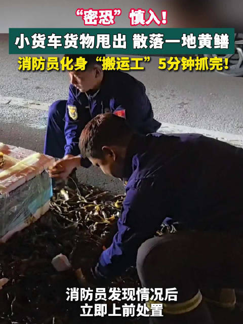 安徽阜阳货车黄鳝散落一地，消防员5分钟抓完