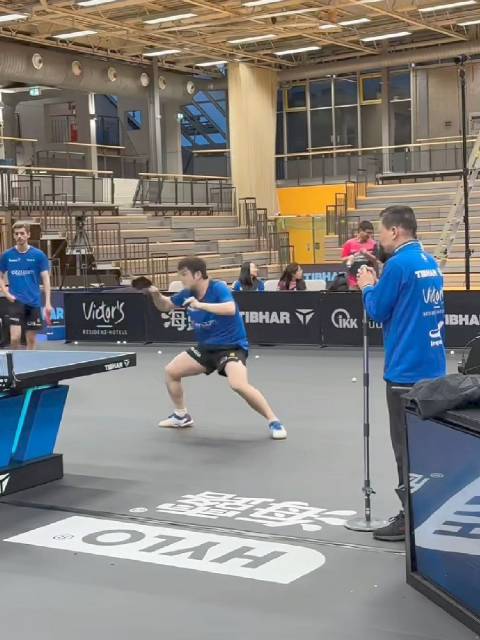 2025-2026赛季德甲乒乓球联赛第十六轮 樊振东进行赛前训练 cr·于博士在德国