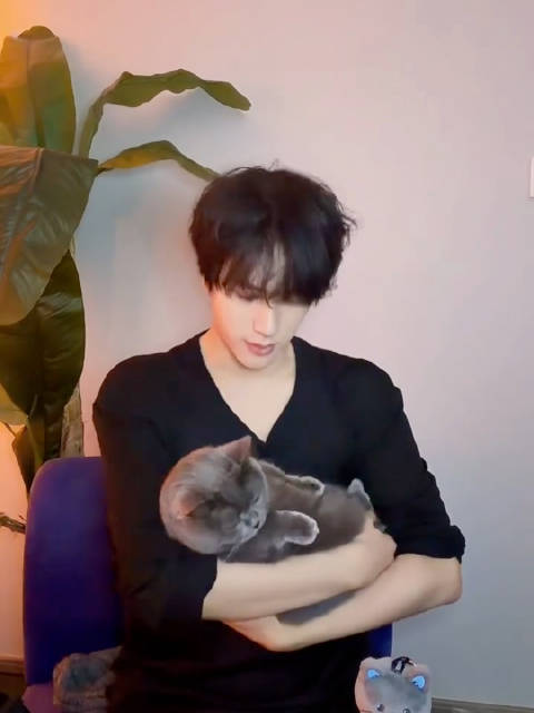 展轩直播亲吻展小歪萌翻网友