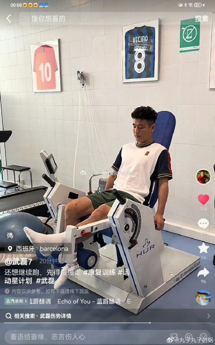 上海海港队核心球员武磊、莱昂纳多等人的伤病情况对球队影响有多大？