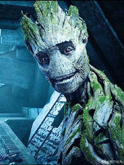 火箭随手捡的小树枝可以长成小格鲁特而雷神战斧的斧柄却不可以呢