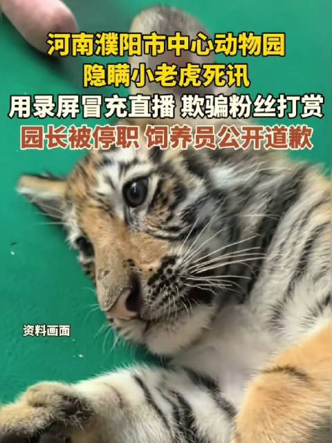 濮阳动物园隐瞒小老虎死讯持续牟利被停业整改