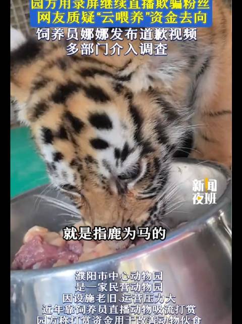 园方隐瞒老虎死讯造假直播被责令道歉