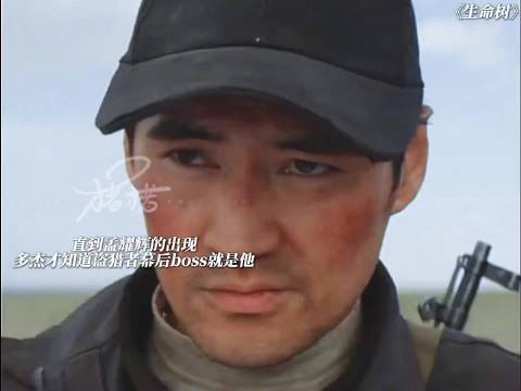 网上看到的视频，生命树胡歌多杰下线，凶手是袁弘演的孟耀辉