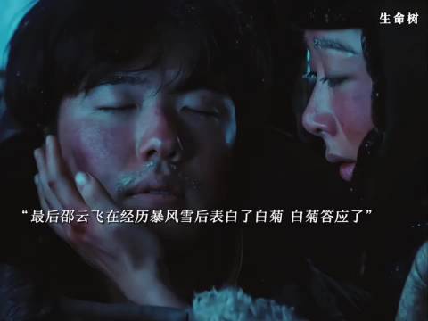 生命树白菊邵云飞宣布离婚