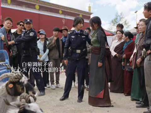 老韩十余年坚持寻找队长，白发见证未了牵挂