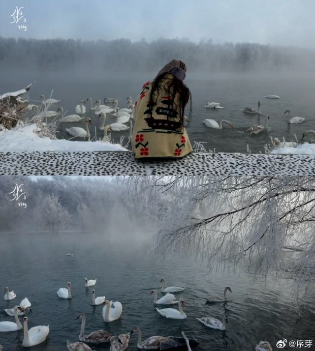 欧阳娜娜在北疆旅行vlog中具体体验了哪些当地特色活动？