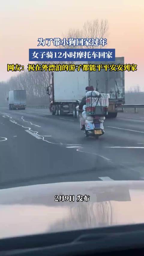 女子骑摩托12小时带狗回家过年