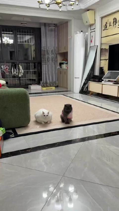 法海咪旁边还停了辆卡车