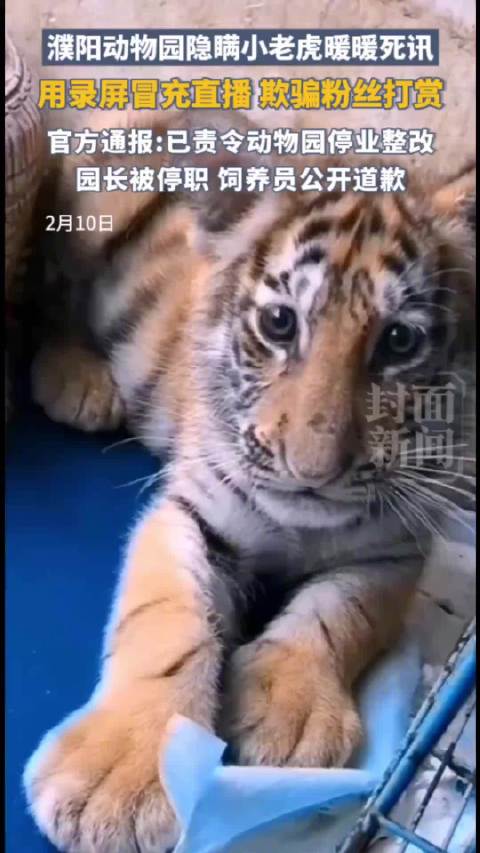 饲养员娜娜被责令公开道歉