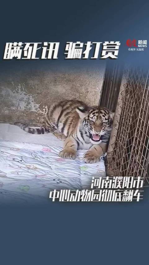 动物园园长隐瞒小老虎死讯被停职