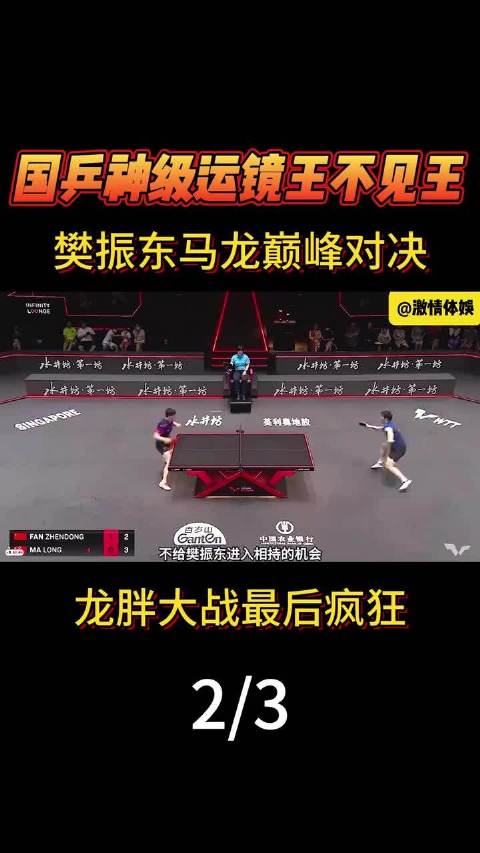 樊振东马龙巅峰对决上演龙胖大战