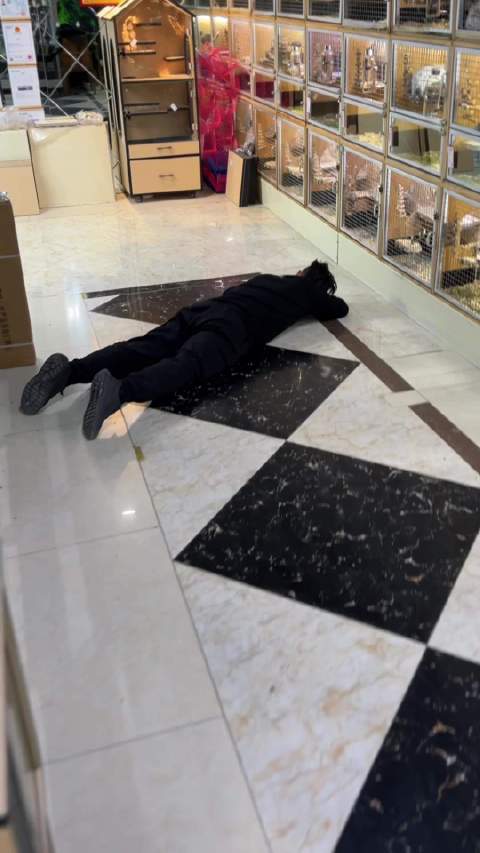 你喜欢吃什么口味的蛋糕