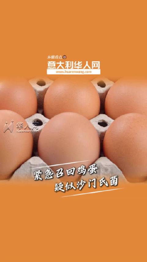 意大利紧急召回一批鸡蛋，疑似沙门氏菌污染