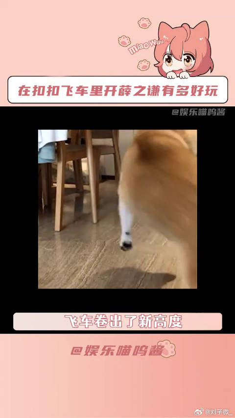 薛之谦高抬腿进场 微博VC计划