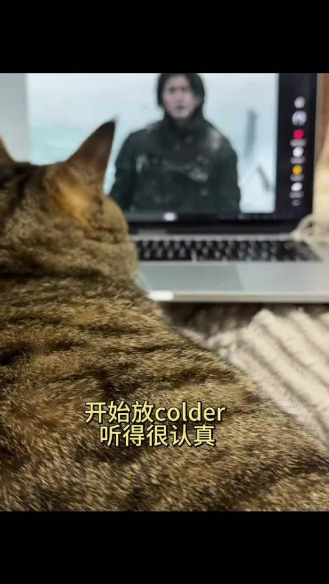 爱坤拍猫听蔡徐坤新专colder反应逗趣