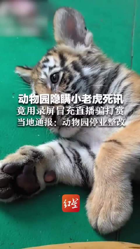 园方用录屏冒充直播,饲养员娜娜被责令道歉