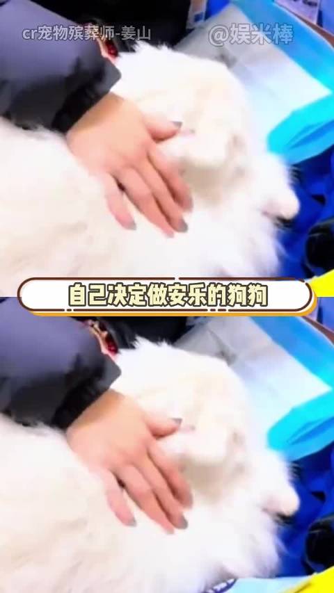 爱是真的，陪伴是真的，舍不得，也是真的！