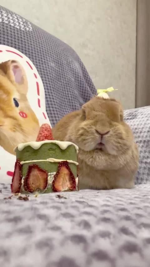 预估一下生气值