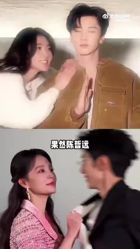 陈哲远对不同女星态度看欣赏，赵露思氛围微妙，李沁忍不住害羞