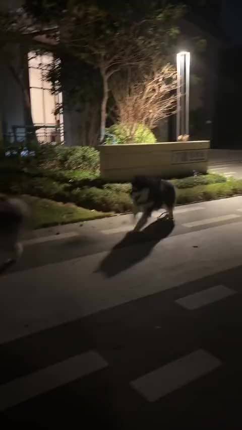 原来不更新的原因是管家带哦米噶去相亲了哈哈