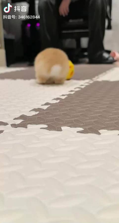 林清源第一次打篮球