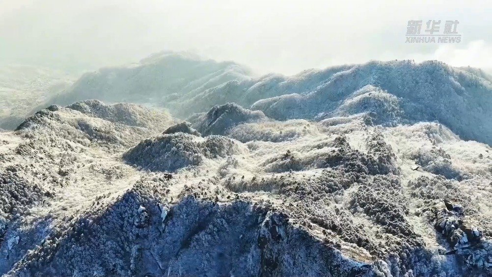 九华山云海玉树琼花如仙境