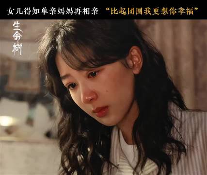 女儿暖心告白父亲，白菊温柔蜕变引关注