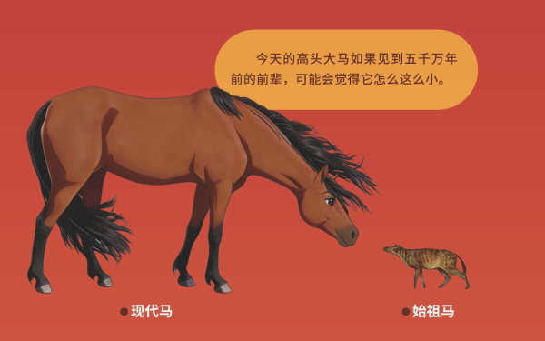 五千万年前的黎明