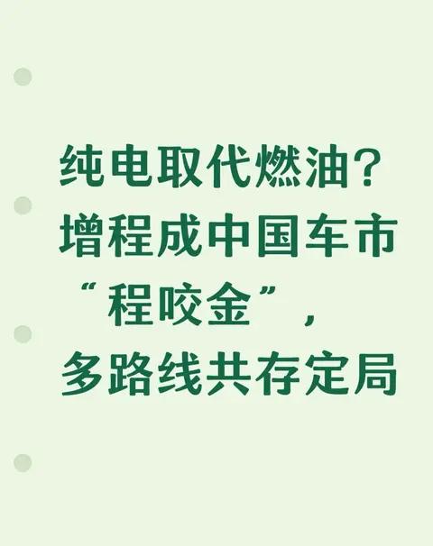 纯电取代燃油?增程成中国车市“程咬金”，多路线共存定局
