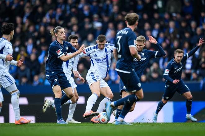 专访哲科:沙尔克04就是属于德甲的名词 希望可以站在世界杯赛场|国际米兰|埃丁·哲科|沙尔克04队|沃尔夫斯堡队_订阅